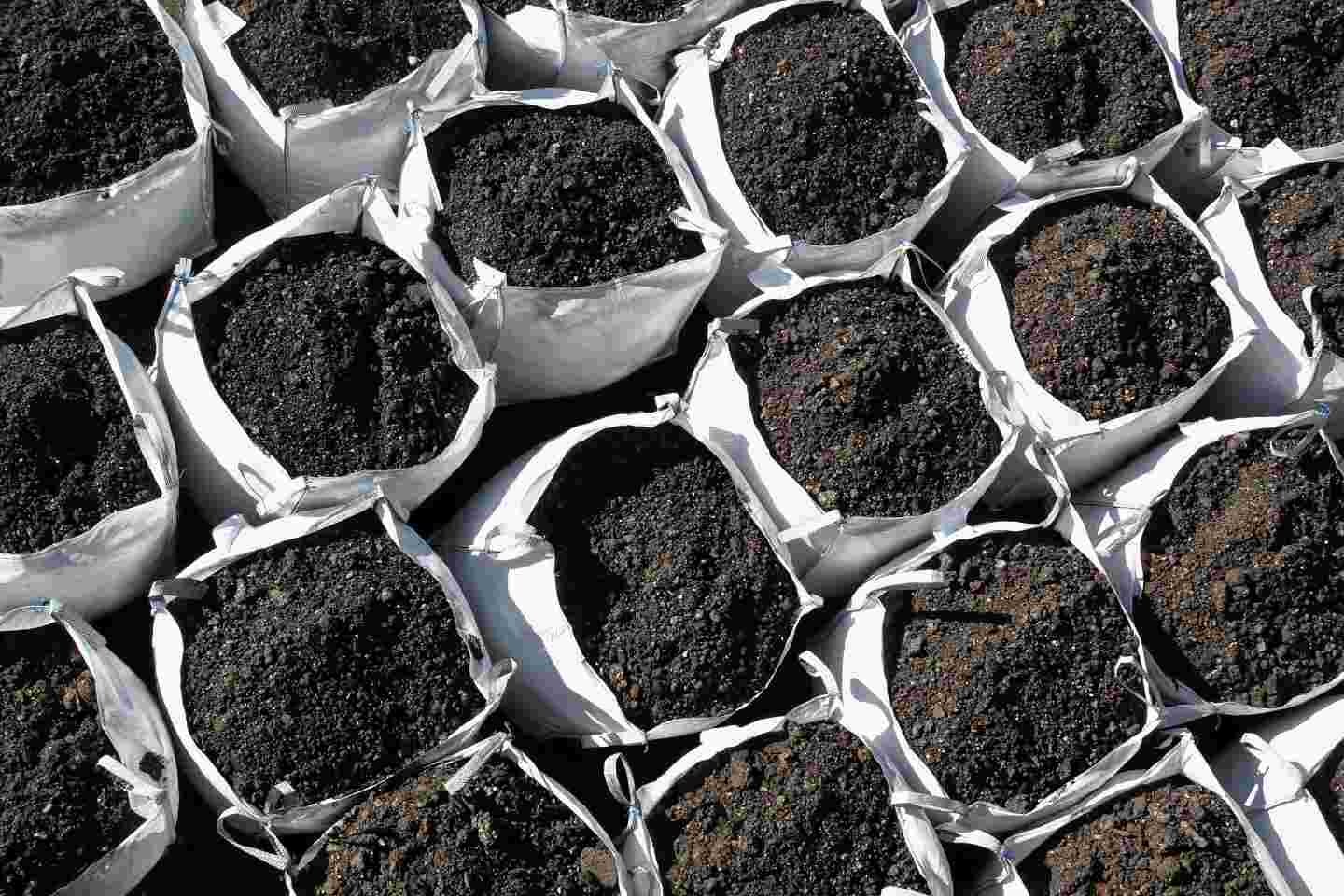 dirt bags for disposal