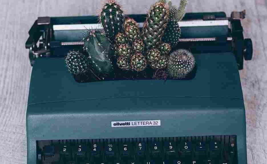DIY cactus planter made of keyboard