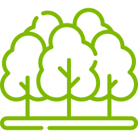 forest icon