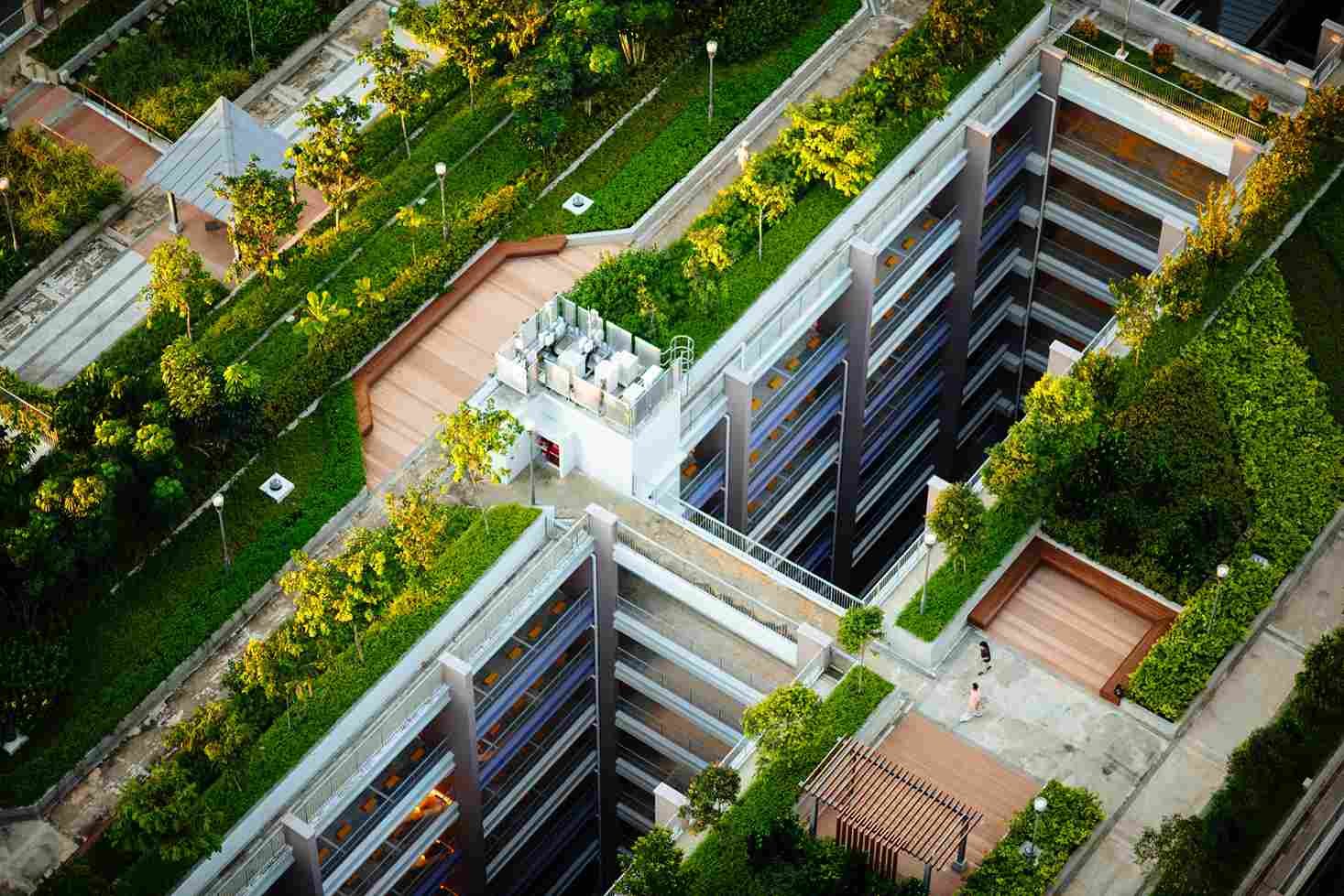 green roof, a type of energy-efficient roofing 