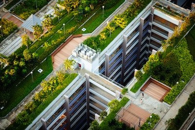 green roof in urban area