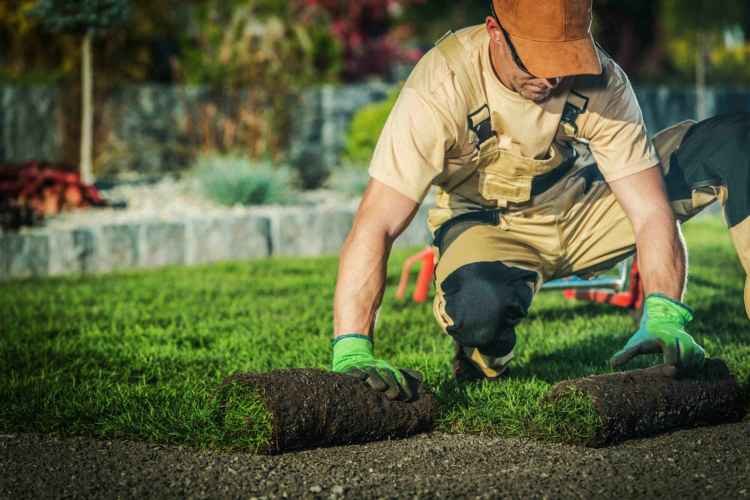 A worker laying down sod