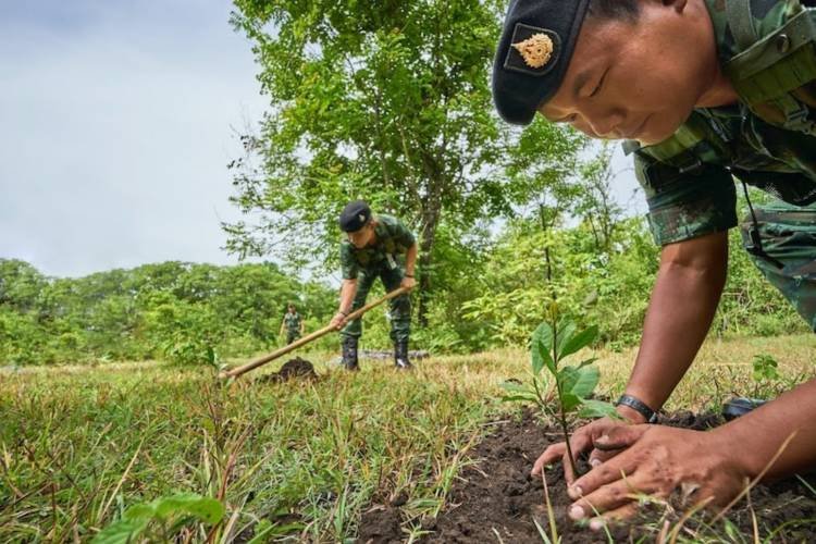 People planting trees for reforestation