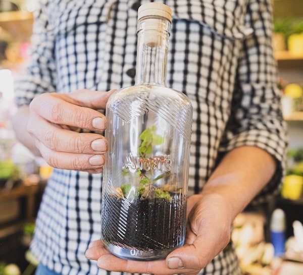 upcycled planter made from bottle