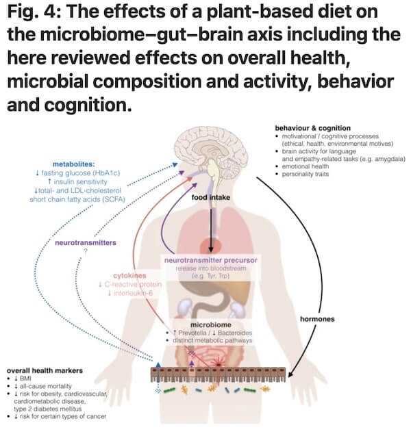 The effects of a plant-based diet on the microbiome-gut-brain axis