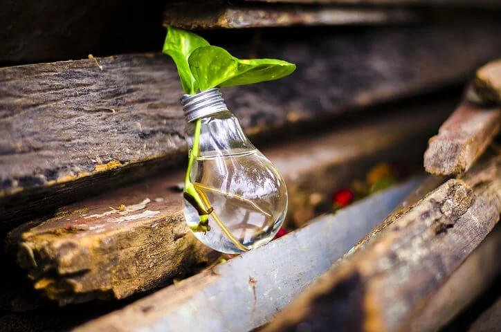 A leaf growing out of a lightbulb showing US recycling statistics